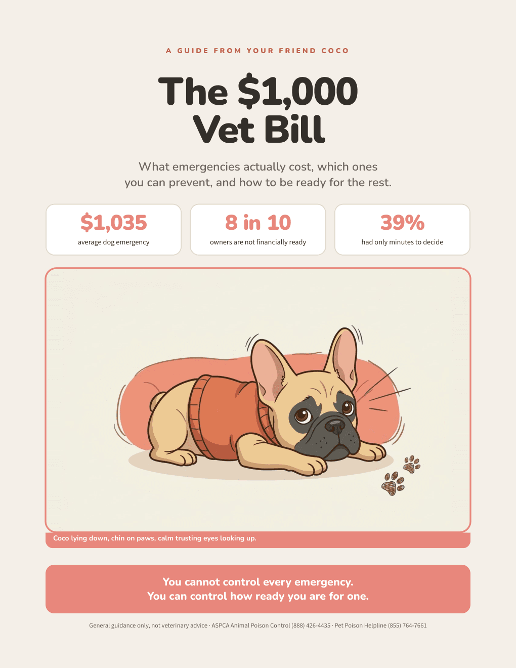 The $1,000 Vet Bill — guide cover